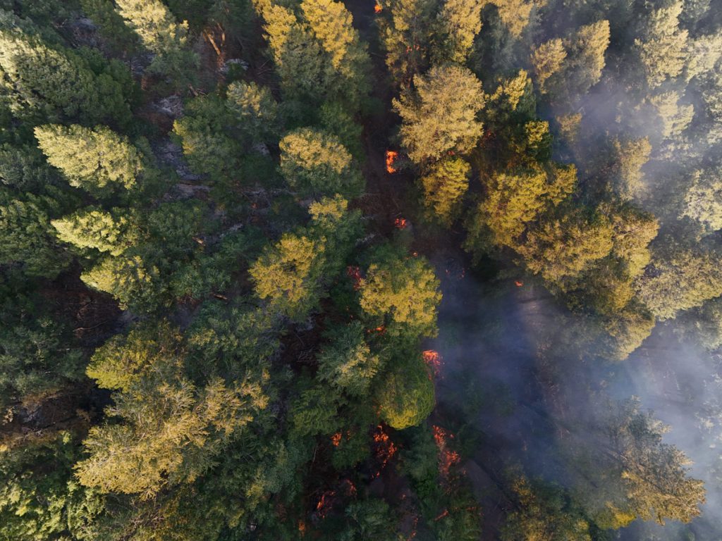 Indian Valley Is Shaping Its Own Fire-Resilient Future