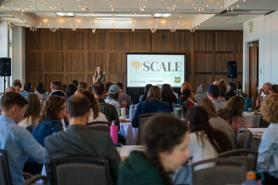 SCALE-sierra-institute-2025-17