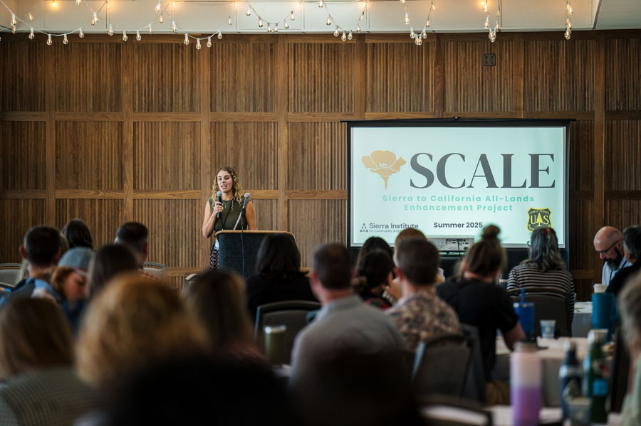 SCALE-sierra-institute-2025-18