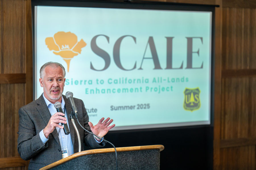 SCALE-sierra-institute-2025-26