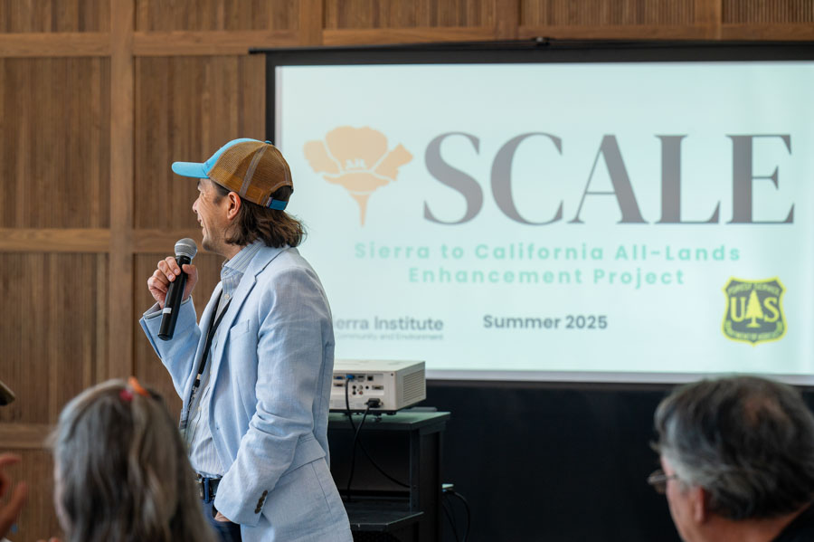 SCALE-sierra-institute-2025-31