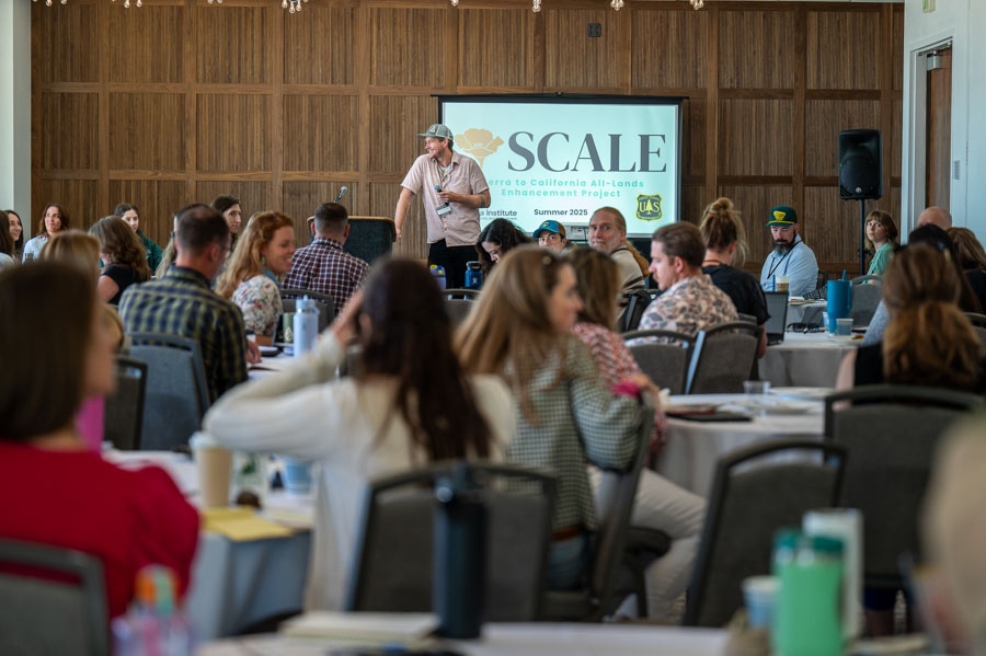 SCALE-sierra-institute-2025-40