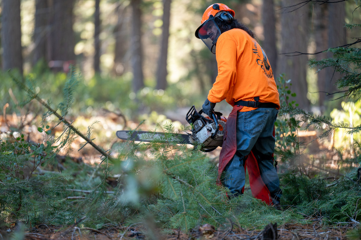 West Shore Community Wildfire Protection-3