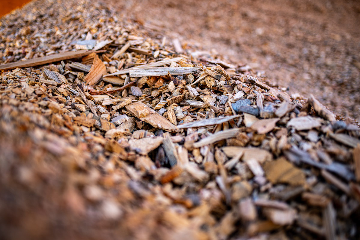 Wood Utilization-2