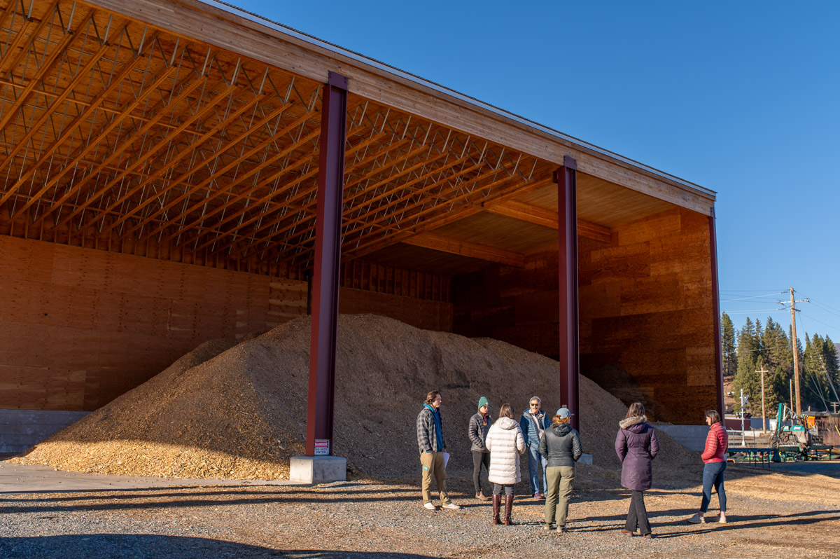 Wood Utilization-4