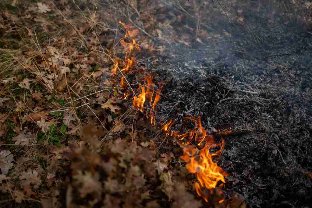 The Hawksprey Burn